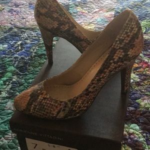 COPY - Colorful muted snakeskin Adrienne Vittadan…